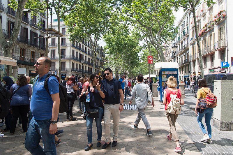 20160528_145647 D4S.jpg - La Rambla is a street in central Barcelona, popular with tourists and locals alike. A tree-lined pedestrian mall, it stretches for 1.2 kilometres connecting Plaça de Catalunya in the centre with the Christopher Columbus Monument at Port Vell.